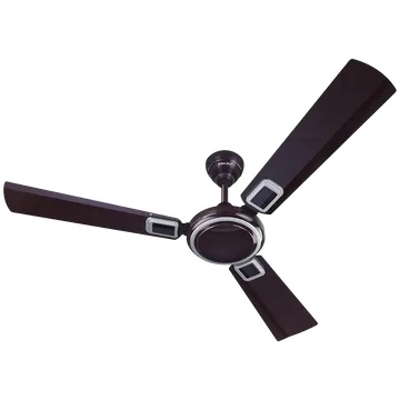 Bajaj Grace Neo BBD EE 1200mm Purple Haze CF (1 Star)