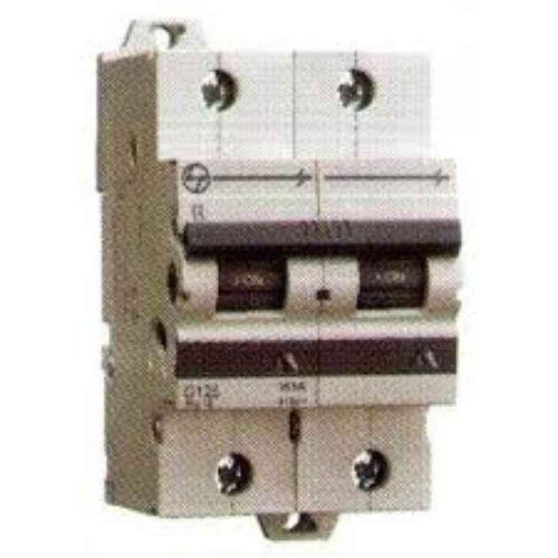 L&T 125A Double Pole MCB, AU15S21253C