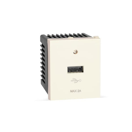 ABB Tvisha - 1SYK100001A1553 ITM2USBC BL USB charger 2A