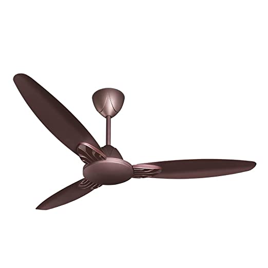 CROMPTON Senoprime 48" Roast Brown 1200 mm 3 Blade Ceiling Fan 