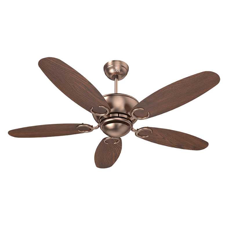 Polycab Superia Lite SP04 75W 340rpm Antique Copper Rose Wood Ceiling Fan, Sweep