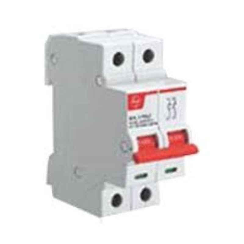 L&T 100A Double Pole Isolators, BF210000