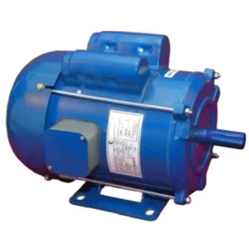 Crompton Greaves Maestro 1HP Single Phase Foot Mounted Induction Motor, GF6782