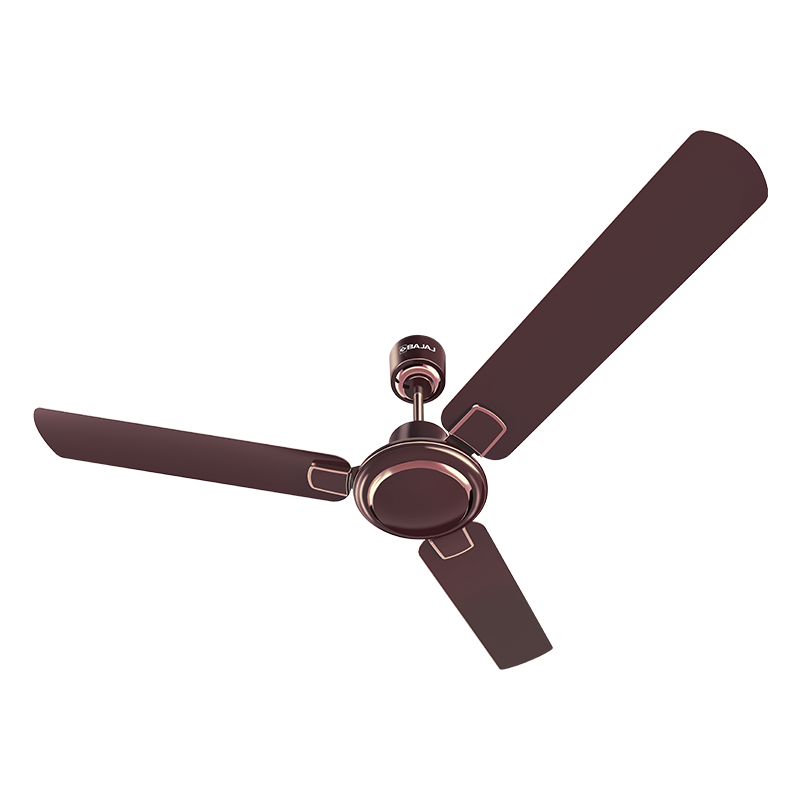 Bajaj Regal Gold NXG EE 1200 mm Wine Red CF (1 Star)