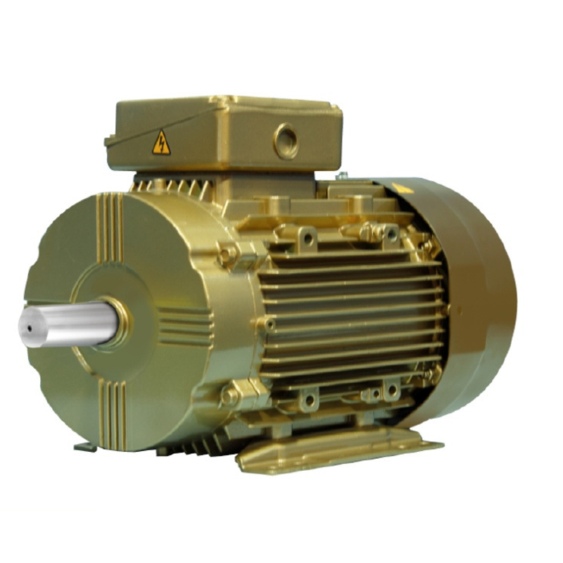 Crompton IE3 Flame Proof 0.5HP Double Pole Squirrel Cage Flame Proof Induction Motors-E80