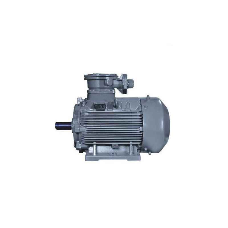 Crompton Greaves 0.5 HP 4 Pole FLP Electric Induction Motor