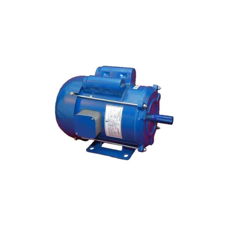 Crompton Greaves Millenium 2HP Single Phase 4 Pole Foot Mounted Induction Motor, GF 6834