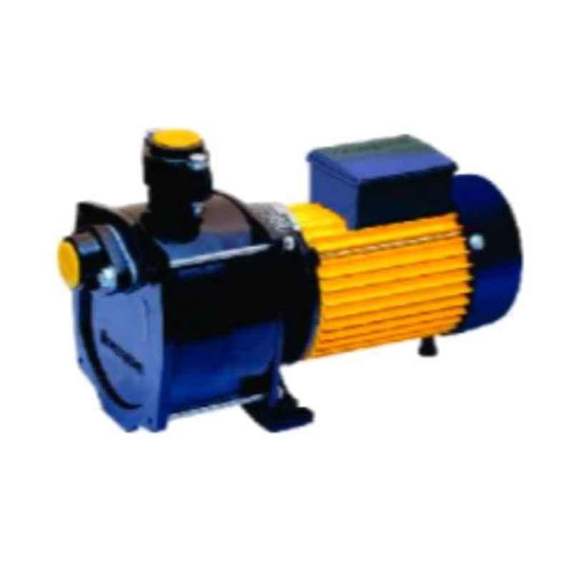 Crompton Greaves 1HP Shallow Well Jet Pump